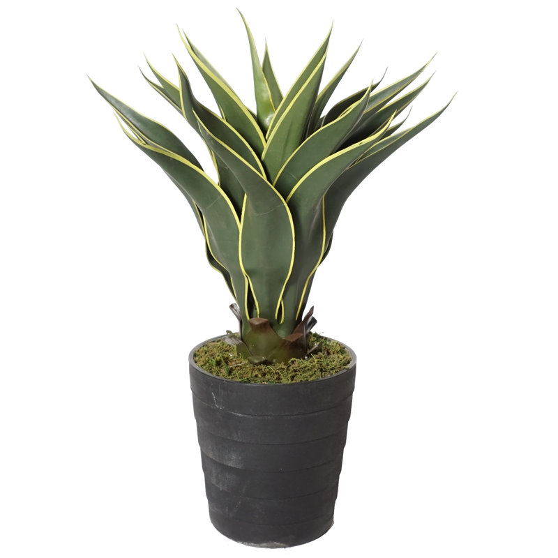 Brayden Studio® 17" Artificial Agave Succulent in Pot & Reviews Wayfair